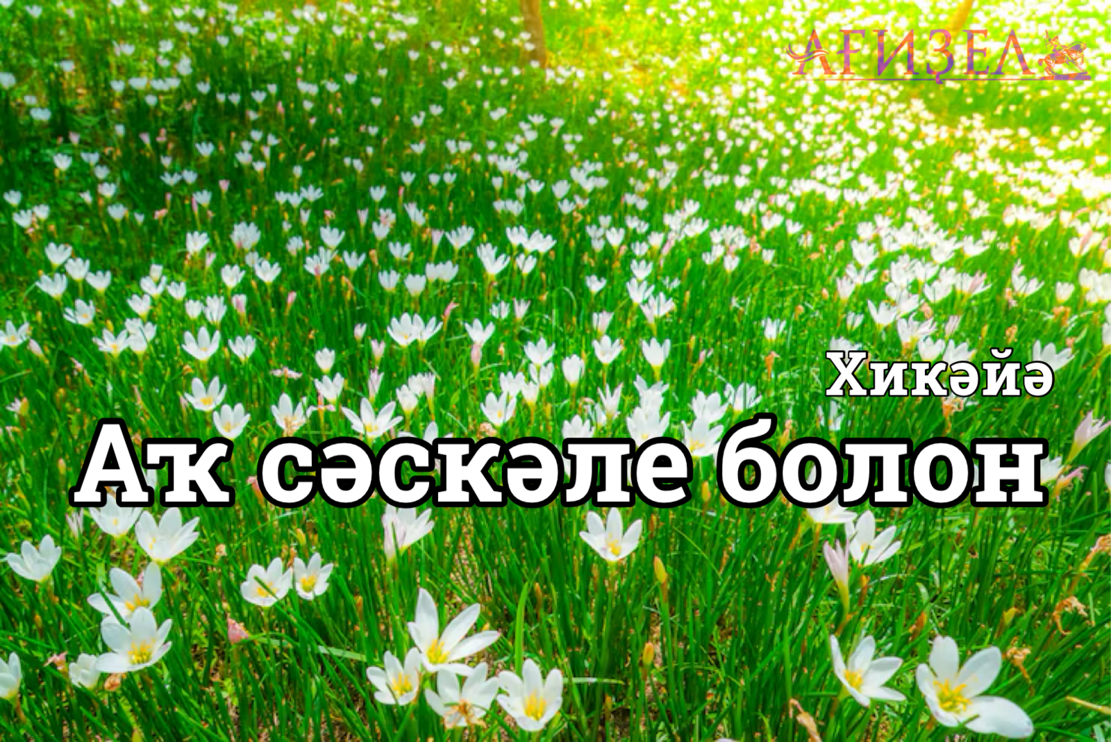 АҠ СӘСКӘЛЕ БОЛОН