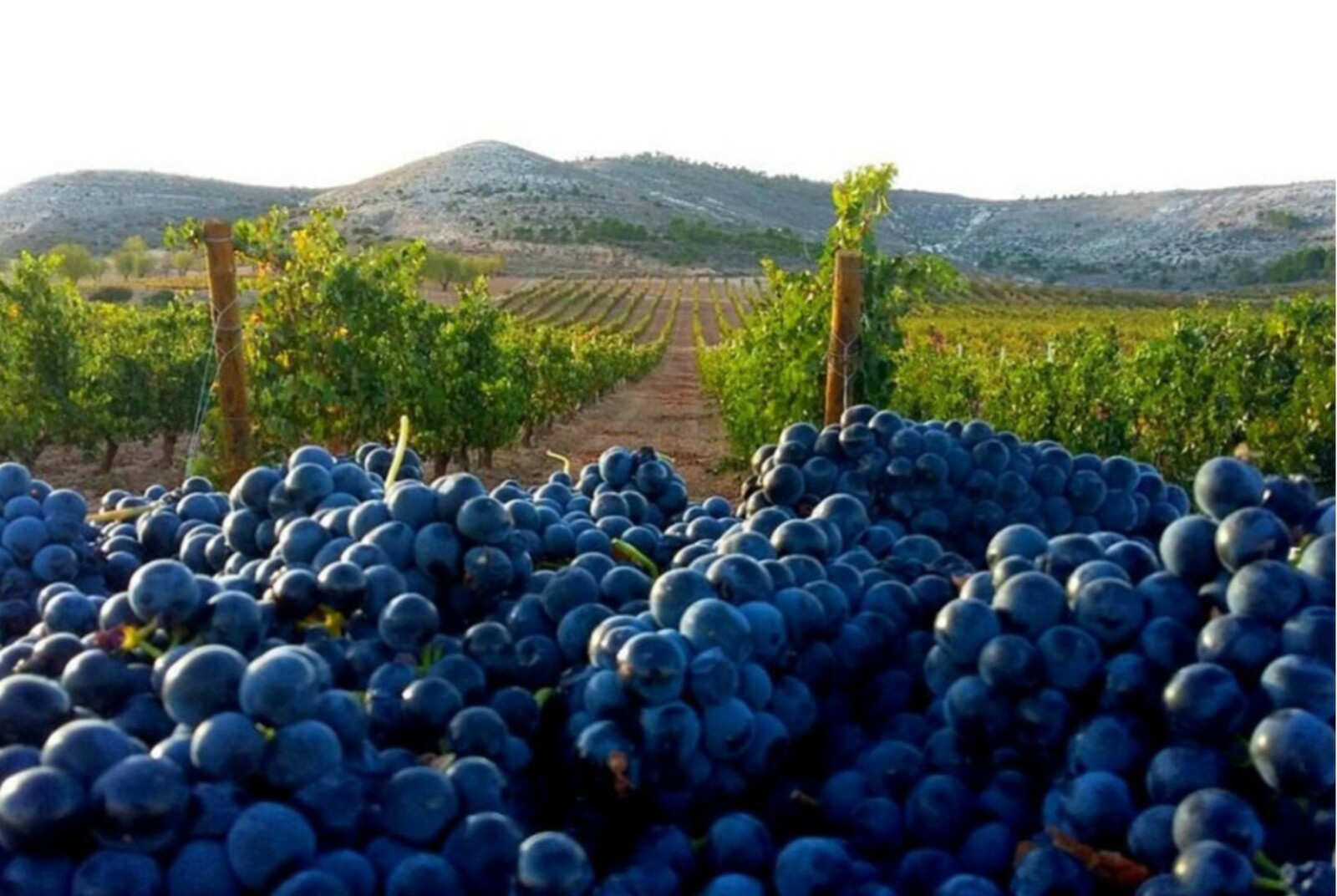 Ҡырым еҙнә. Хикәйә