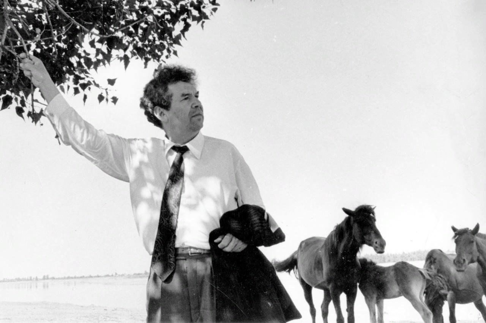 Бер автограф тарихы