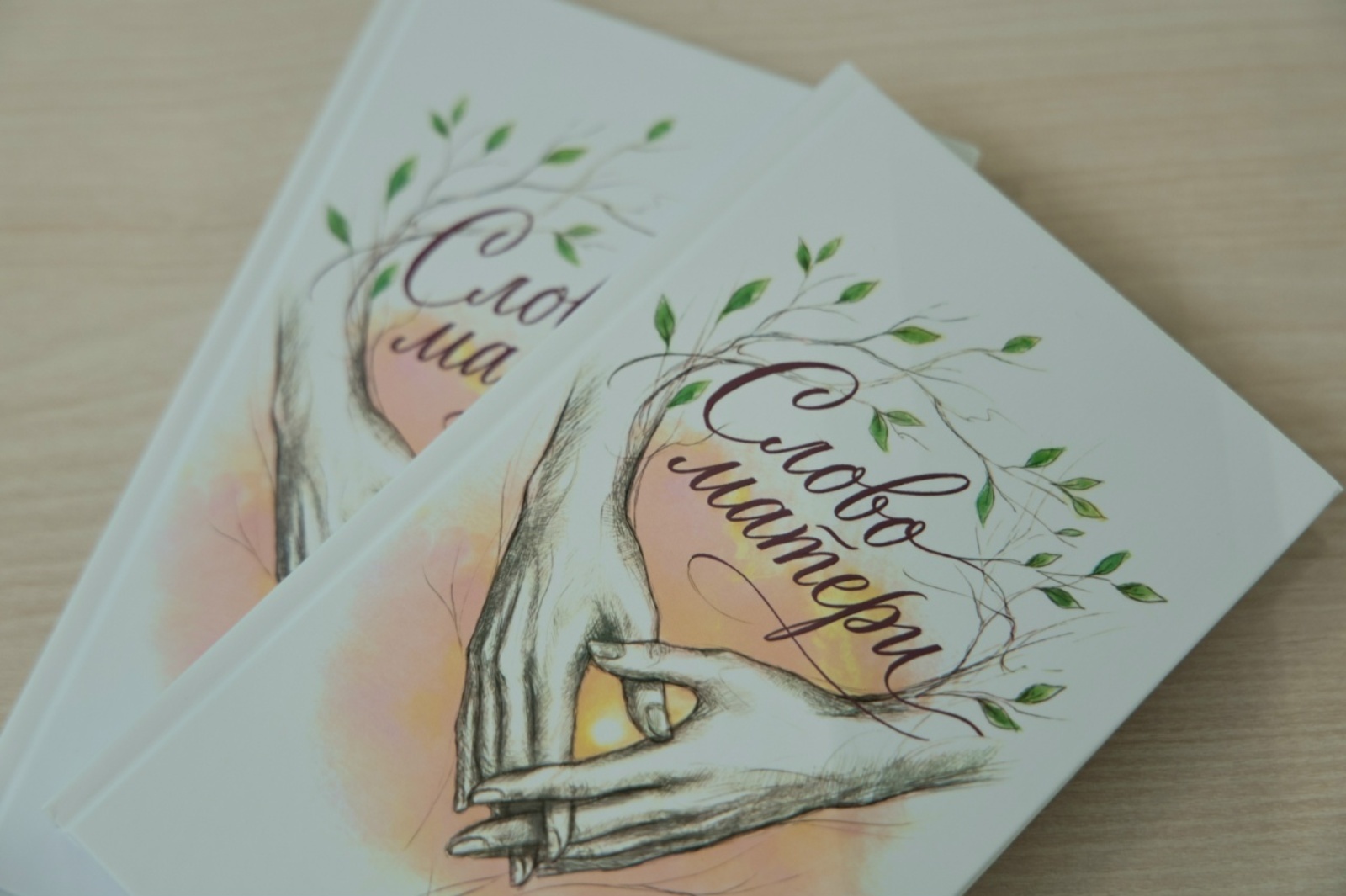 Өфөлә «Әсә һүҙе» шиғырҙар йыйынтығының исем туйы уҙҙы